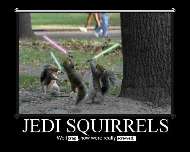 03-jedi-squirrels-censored.jpg Jedi Squirrel 2 image by marvinw