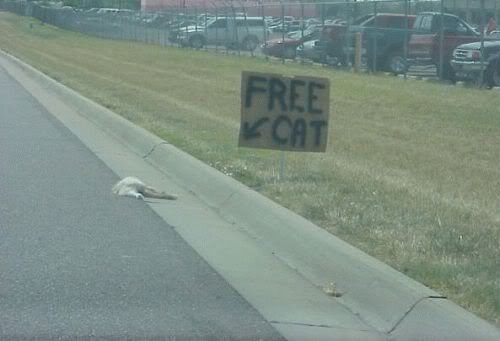 cats2-free1.jpg