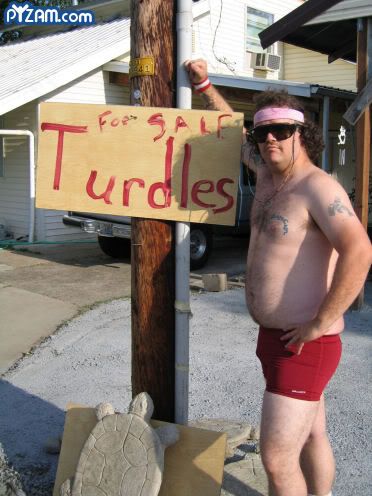 turdles1.jpg