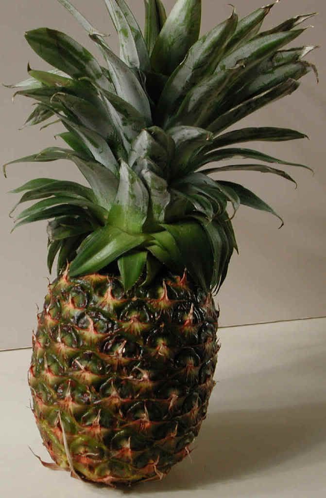 pineapple Pictures, Images and Photos