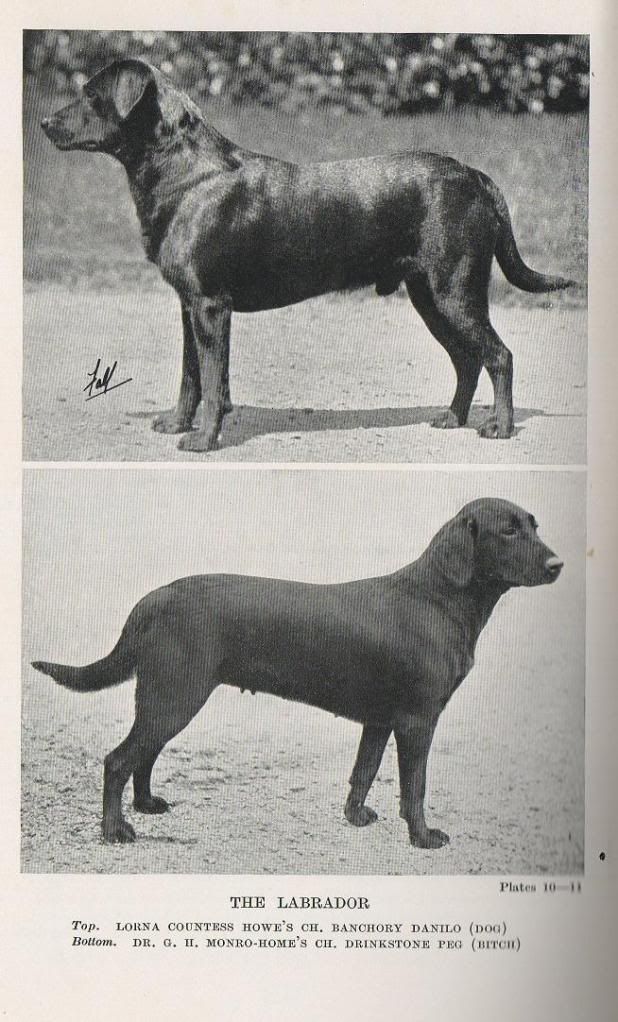 'Your' breed's historic photos )