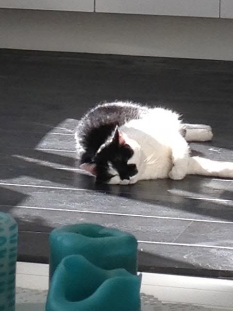 Bild