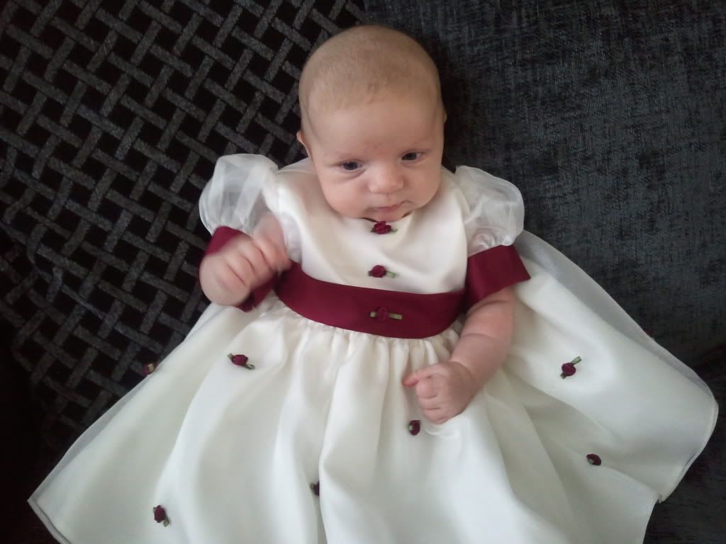 2010-08-15122141.jpg