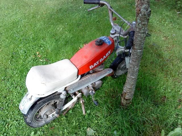 Bild