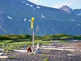 Hallo Bay Bear Camp,Hallo Bay Alaska