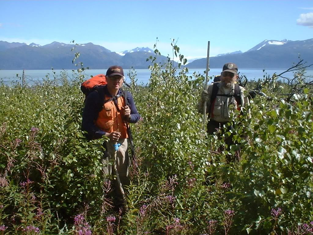 Ed Berg,Alaska,Geology,bears at hallo bay