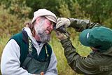 Alaskaâ��s Hallo Bay Bear Camp,Alaska,Hallo Bay Camp,Hallo Bay,Hallo Bay Bears,Bears at Hallo Bay,Clints Bears,Hallo Bay Wilderness Camp,Hallo Bay wilderness,Hallo Bay wildlife,photography tours,adventure photography,Alaska guided tours,Bear guides,hallo bay bear lodge,Katmai bear guides,Alaska travel,ecotours,greentourism,eco,ecotourism