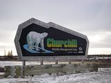 Simyra,Hallo Bay Bear Camp Polar Bear Tour,polar bear,Churchill Polar Bears