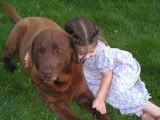 PICT7056.jpg puppy hugs image by idgrasser