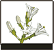 plant-boxes-2-2.gif picture by mariabei