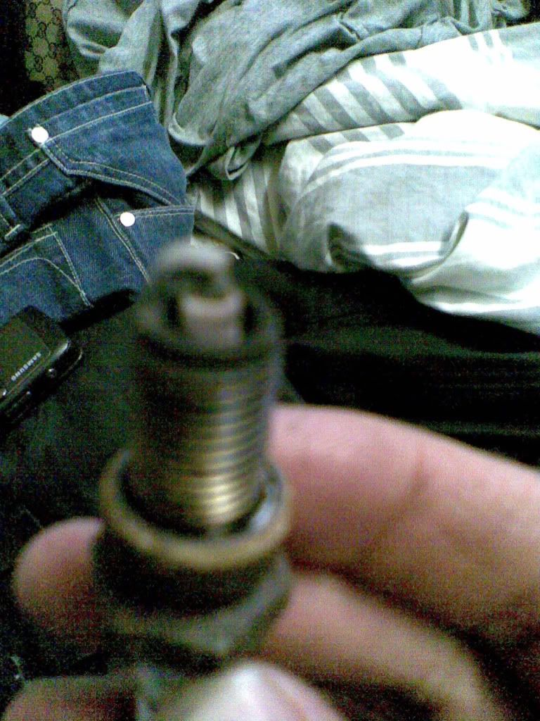 Rich or lean? My spark plug