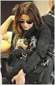 http://i579.photobucket.com/albums/ss240/calwen_photo/Ashley_Greene/Nepojmenovan4-26.jpg