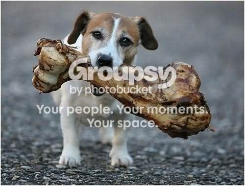 Dog With Bone