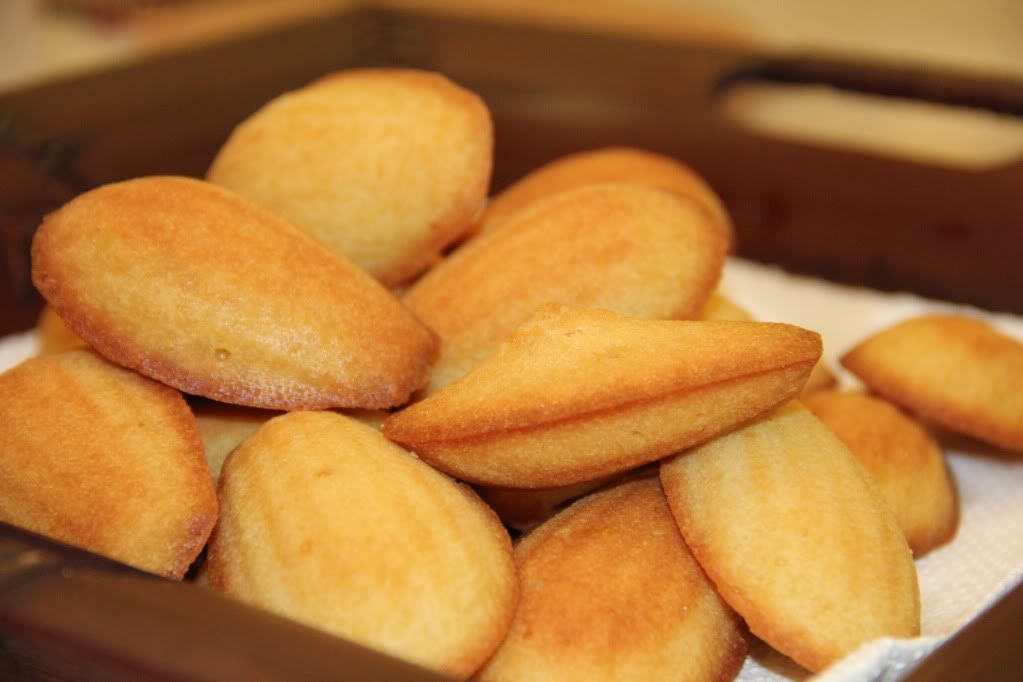 madeleines